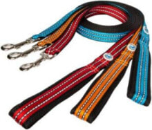 Dog Leashes