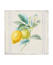 Trademark Global danhui Nai Flour sack Lemons II Sq Navy Canvas Art - 19.5