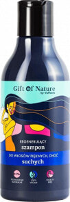 Шампуни для волос Gift of Nature