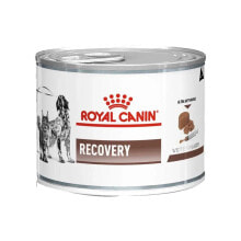 ROYAL CANIN Recovery Mousse Poultry Pork 195g Wet Dog Food