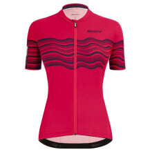 SANTINI Tono Proflo Short Sleeve Jersey