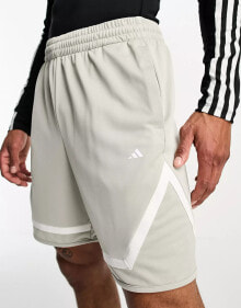 Men's Sports Shorts