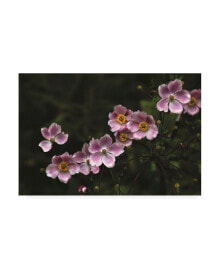 Trademark Global kurt Shaffer Photographs Pink in the Garden Canvas Art - 27