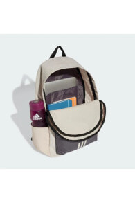 Sports and urban backpacks