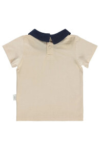 Children's T-shirts and T-shirts for boys