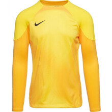 Nike Gardien IV Goalkeeper JSY M DH7967 719 goalkeeper shirt