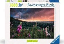 Ravensburger Puzzle 1000 Nadchodzi burza купить в интернет-магазине