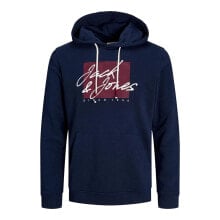 JACK & JONES 12254870 Zuri Hoodie