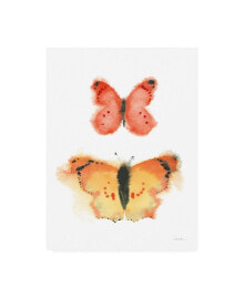Trademark Global shirley Novak Watercolor Butterflies IV Canvas Art - 36.5