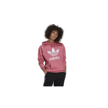 Women's Hoodies