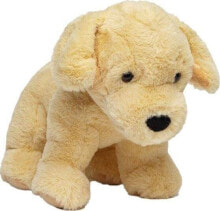 Molli Toys Pies Golden retriever 30 cm