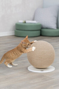 Scratching posts for cats