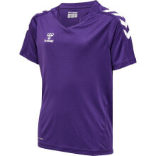 Men's sports T-shirts and T-shirts