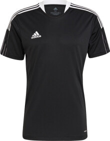 Men's sports T-shirts and T-shirts