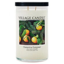 Scented candle in glass Mandarin and needle (Clementine Evergreen) 538 g