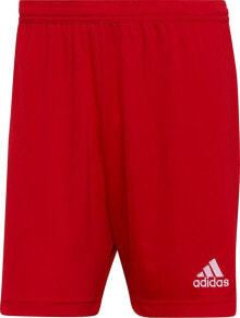 Men's Sports Shorts