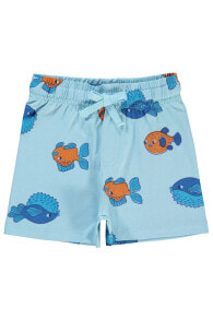 Children's shorts for boys