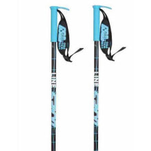 Nordic walking sticks and trekking poles