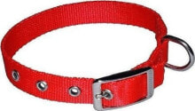 Dog Collars