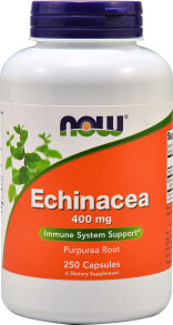 Эхинацея NOW Foods Echinacea -- Эхинацея для поддержки иммунитета - 400 мг - 250 капсул