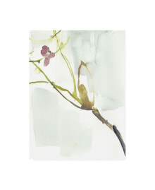 Trademark Global jennifer Goldberger First Blooms VI Canvas Art - 19.5