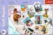 Купить пазлы для детей Trefl: Пазл собачки на фотографиях с каникул TREFL 300 элементов