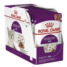 Cat food Royal Canin SENSORY FEEL Meat 12 x 85 g