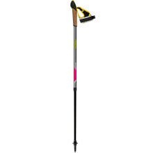 Nordic walking sticks and trekking poles