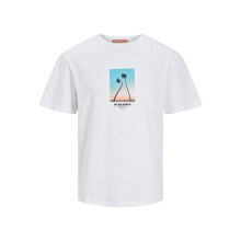 Men's sports T-shirts and T-shirts