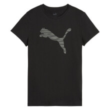 Men's sports T-shirts and T-shirts