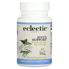Vitamins and dietary supplements for allergies Eclectic Institute