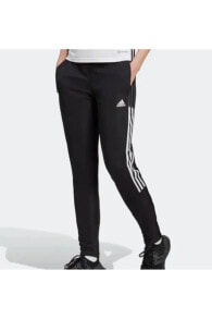 Women's Sweatpants