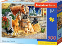 Castorland Puzzle Gathering Friends 300 elementów (241103)