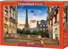 Castorland Puzzle 1000 element?w Spacer po Pary?u o zachodzie s?o?ca