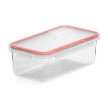 Containers and lunch boxes