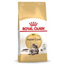 ROYAL CANIN Maine Coon Adult 10kg Cat Food