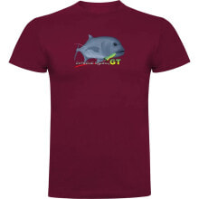 Men's sports T-shirts and T-shirts