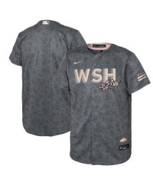 Nike infant Boys and Girls Gray Washington Nationals City Connect Replica Jersey