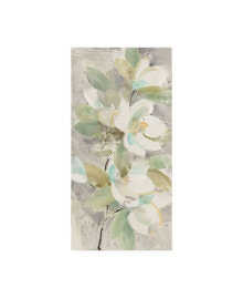Trademark Global albena Hristova Pale Magnolia Canvas Art - 15.5