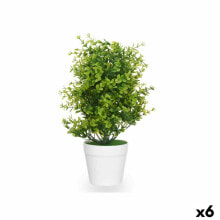 Decorative Plant Plastic Large (6 Units)