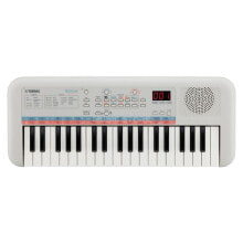 Synthesizers, pianos and MIDI keyboards