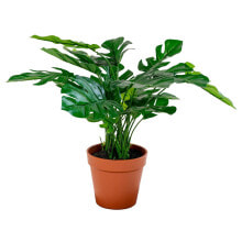 Artificial plants for home and street