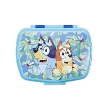 Containers and lunch boxes for school