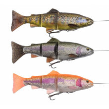 Baits and jigs for fishing