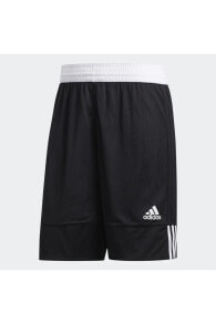 Men's Sports Shorts