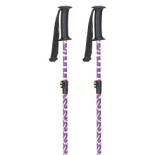 Nordic walking sticks and trekking poles