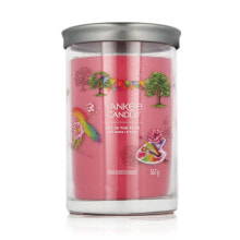 Scented Candle Yankee Candle Art In The Park 567 g