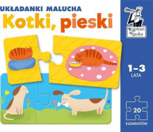Развивающие и обучающие игрушки Kapitan Nauka