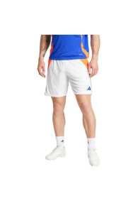 Men's Sports Shorts