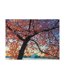 Trademark Global mitch Catanzaro Morning Blossom Canvas Art - 36.5